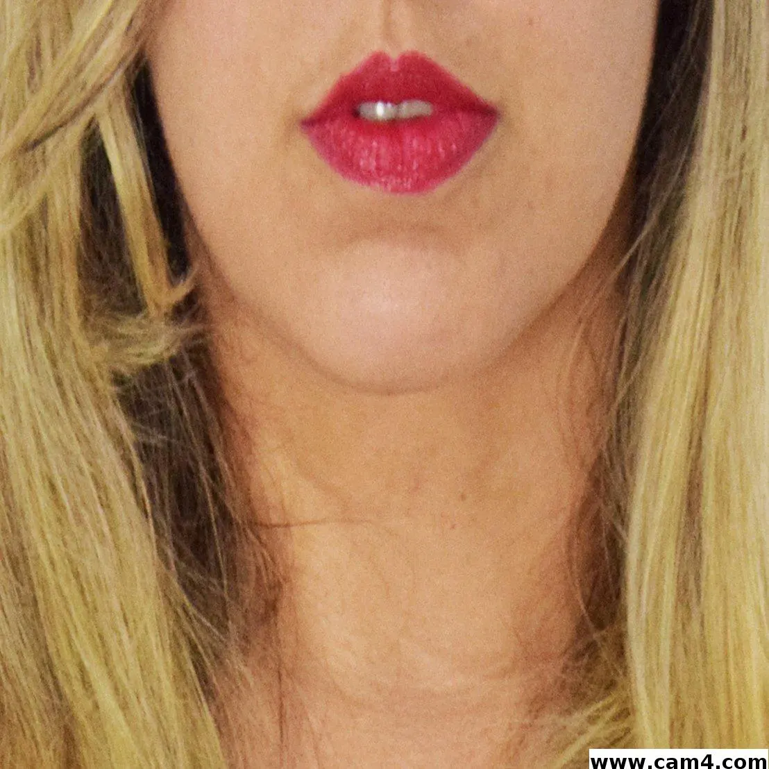 diabaloira image 0